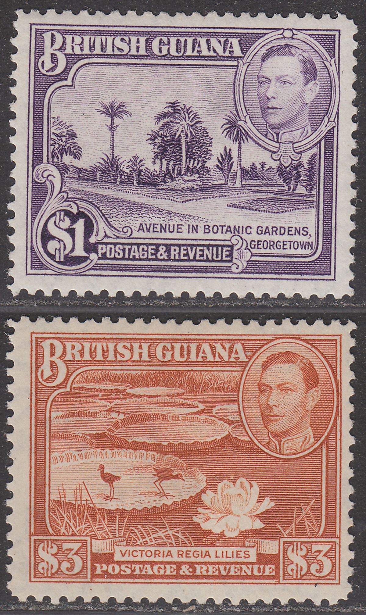 British Guiana KGVI 1938 King George VI $1, $3 Perf 12½ Mint SG317 SG319 cat £66
