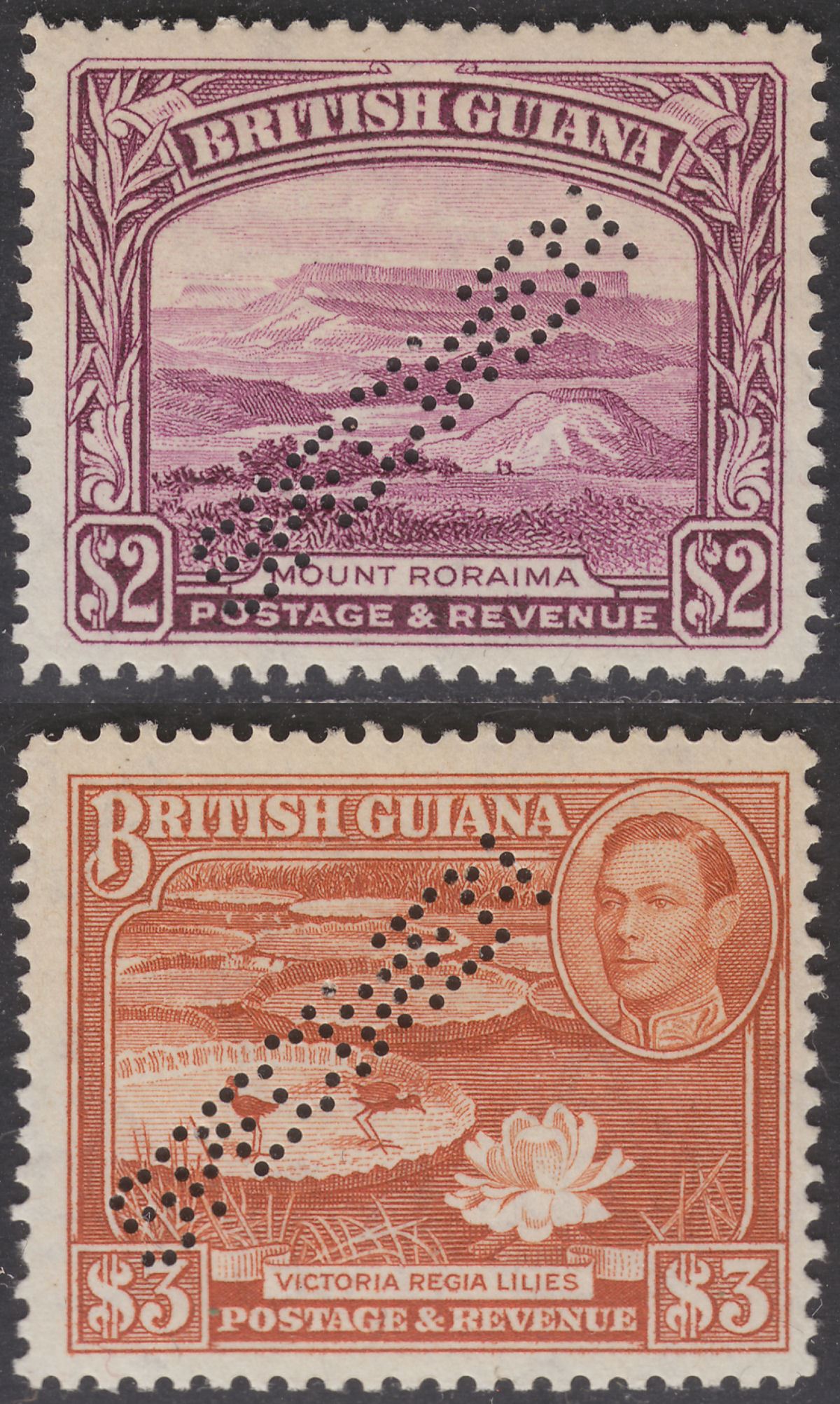 British Guiana 1945 KGVI SPECIMEN Perf $2 Purple, $3 Red-Brown Mint SG318s-319s