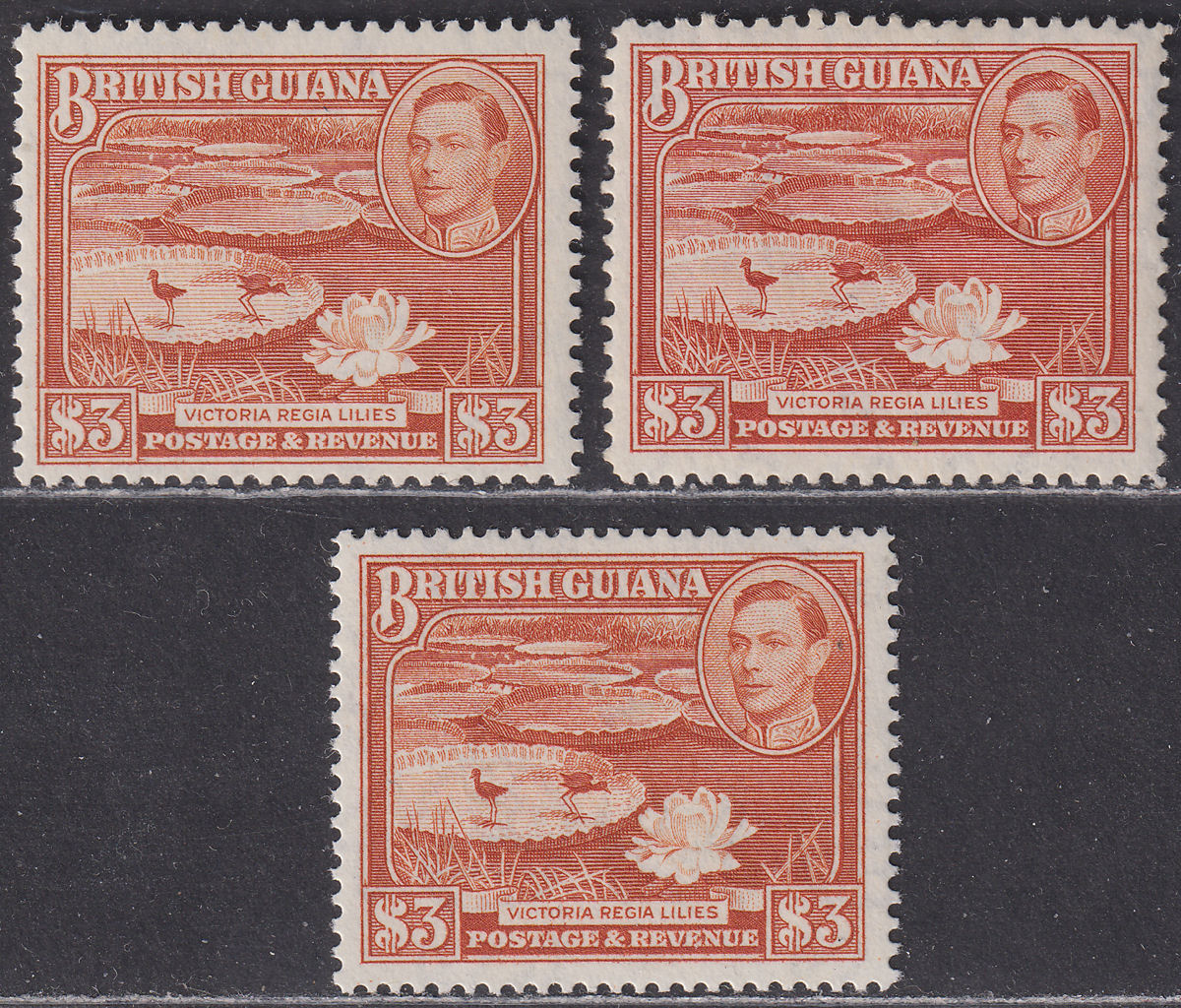 British Guiana 1945-52 KGVI $3 Red-Brown Selection Mint SG319-319b cat £145