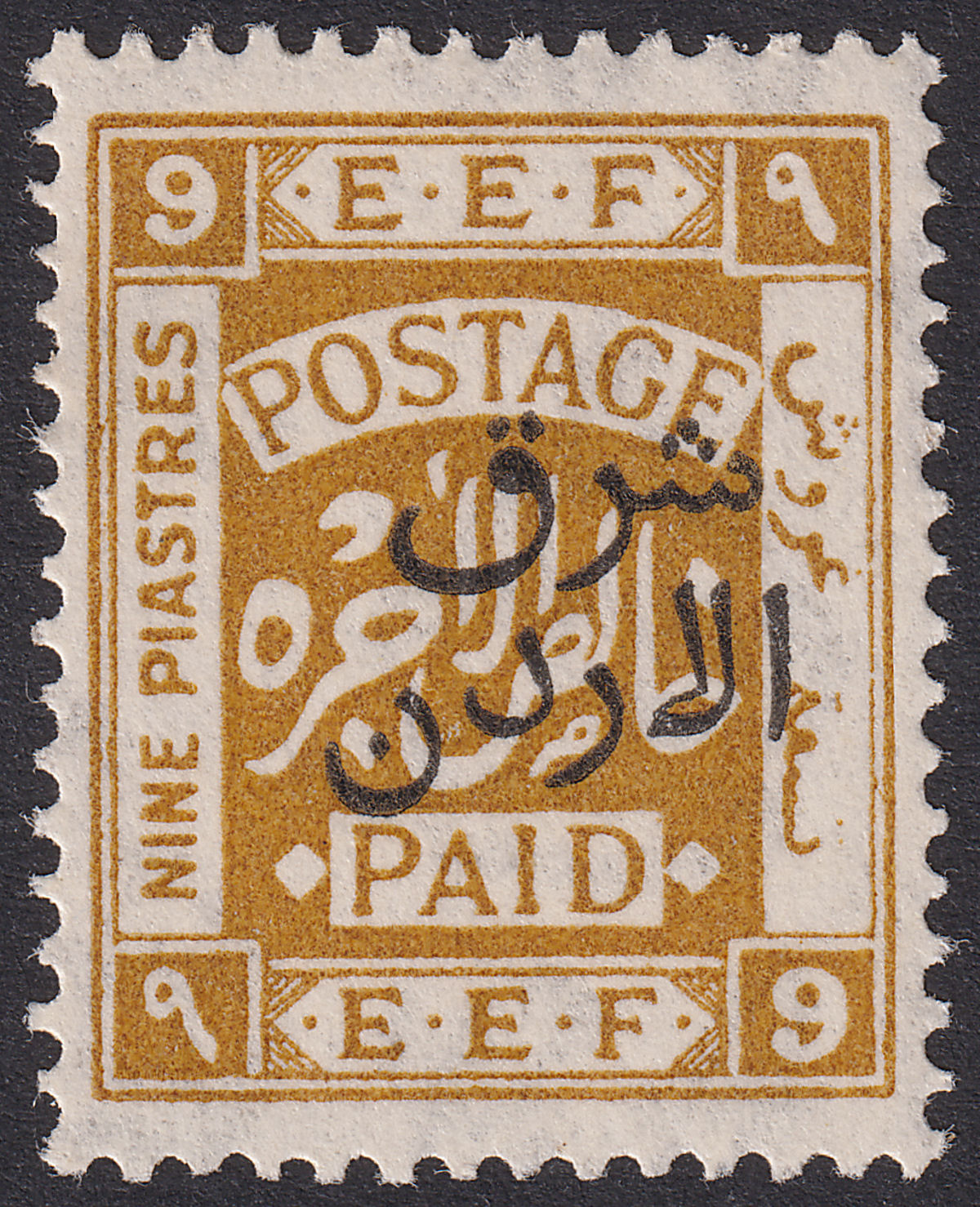 Transjordan 1925 KGV Opt Palestine 9p Ochre Long Stamp Variety Mint SG155v