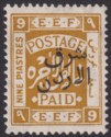 Transjordan 1925 KGV Opt Palestine 9p Ochre Long Stamp Variety Mint SG155v