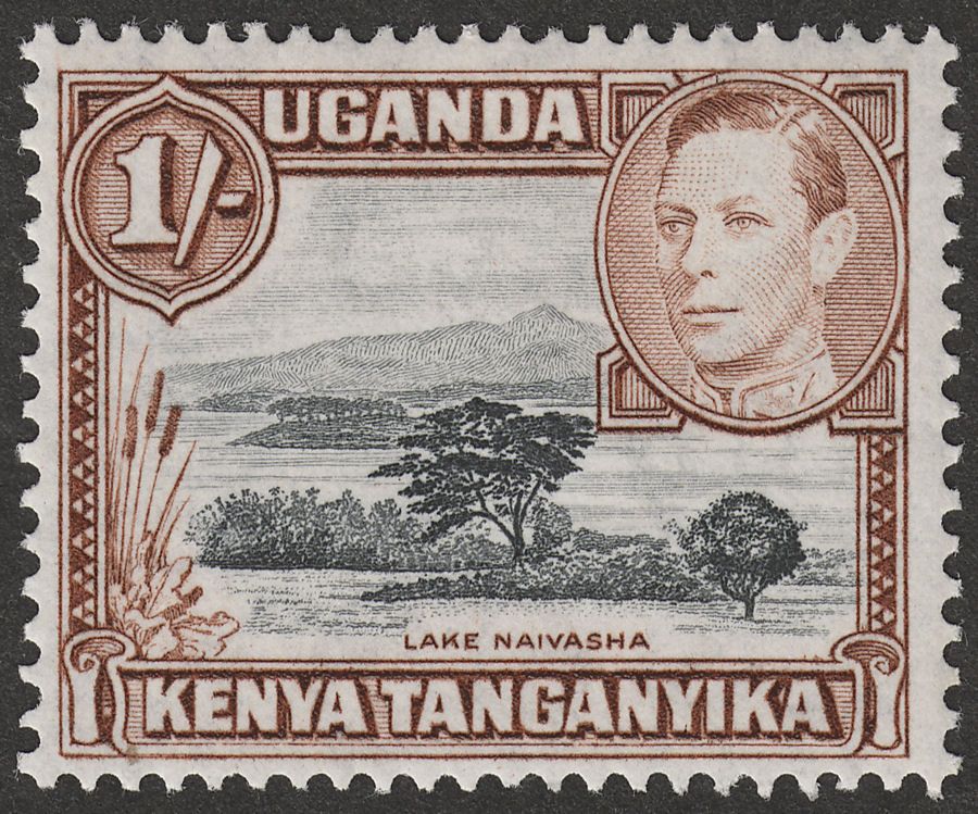 Kenya Uganda Tanganyika 1949 KGVI 1sh Black and Brown p13 x 12½ Mint SG145b