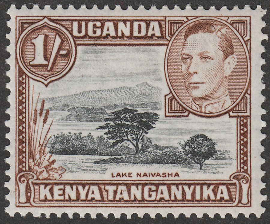 Kenya Uganda Tanganyika 1949 KGVI 1sh Black and Brown p13 x 12½ Mint SG145b