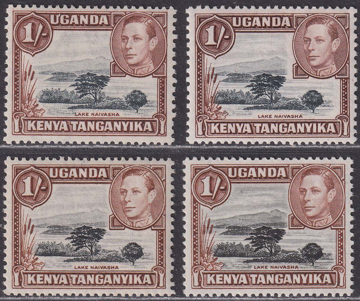 Kenya Uganda Tanganyika 1942 KGVI 1sh p13x11¾, p13x12 Shades Mint SG145-145ba