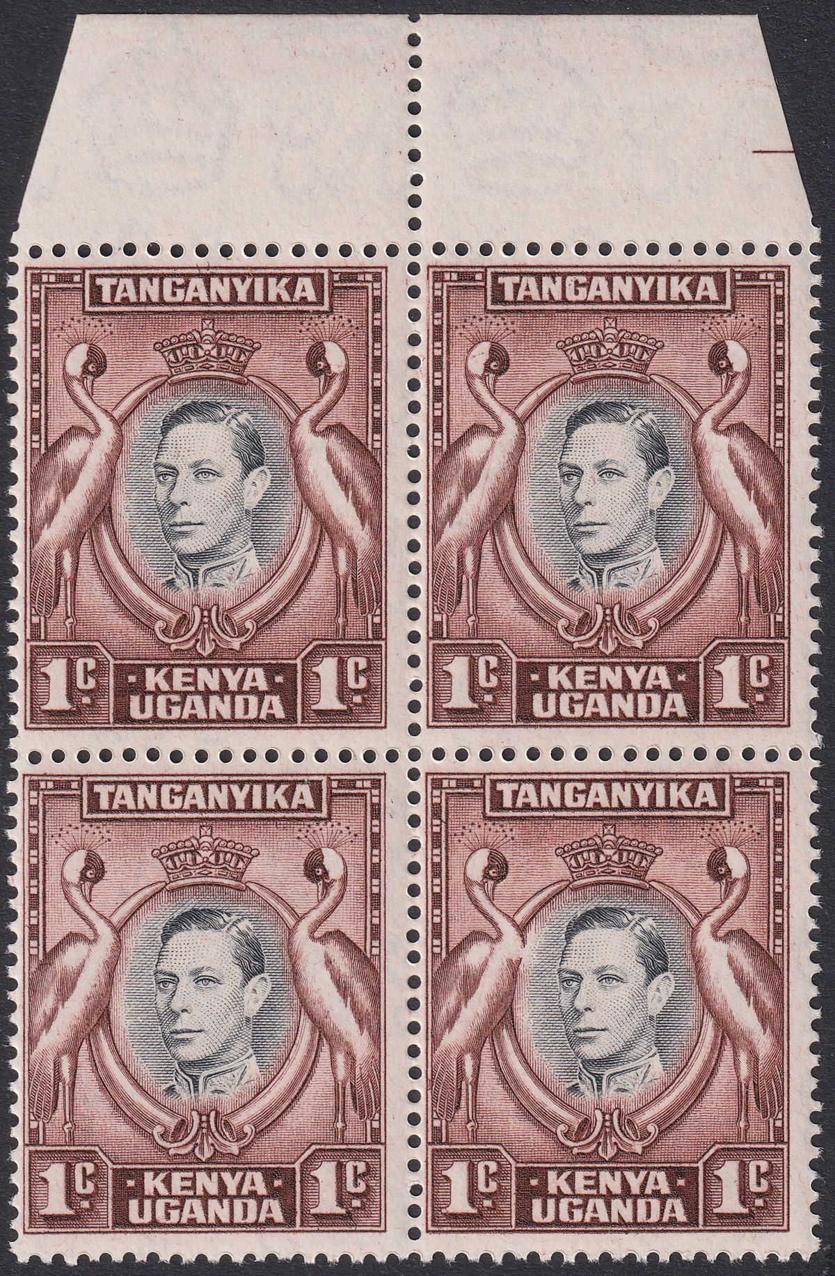 Kenya Uganda Tanganyika 1942 KGVI 1c Block w Bird's Breast Variety Mint SG131ae