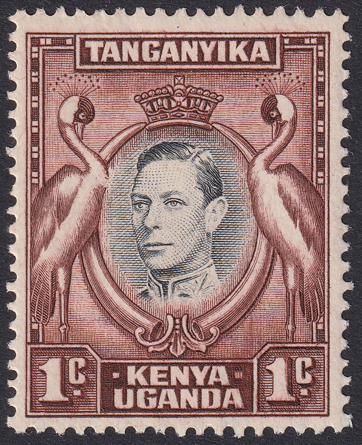 Kenya Uganda Tanganyika 1942 KGVI 1c Bird's Breast Variety Mint SG131ae cat £90