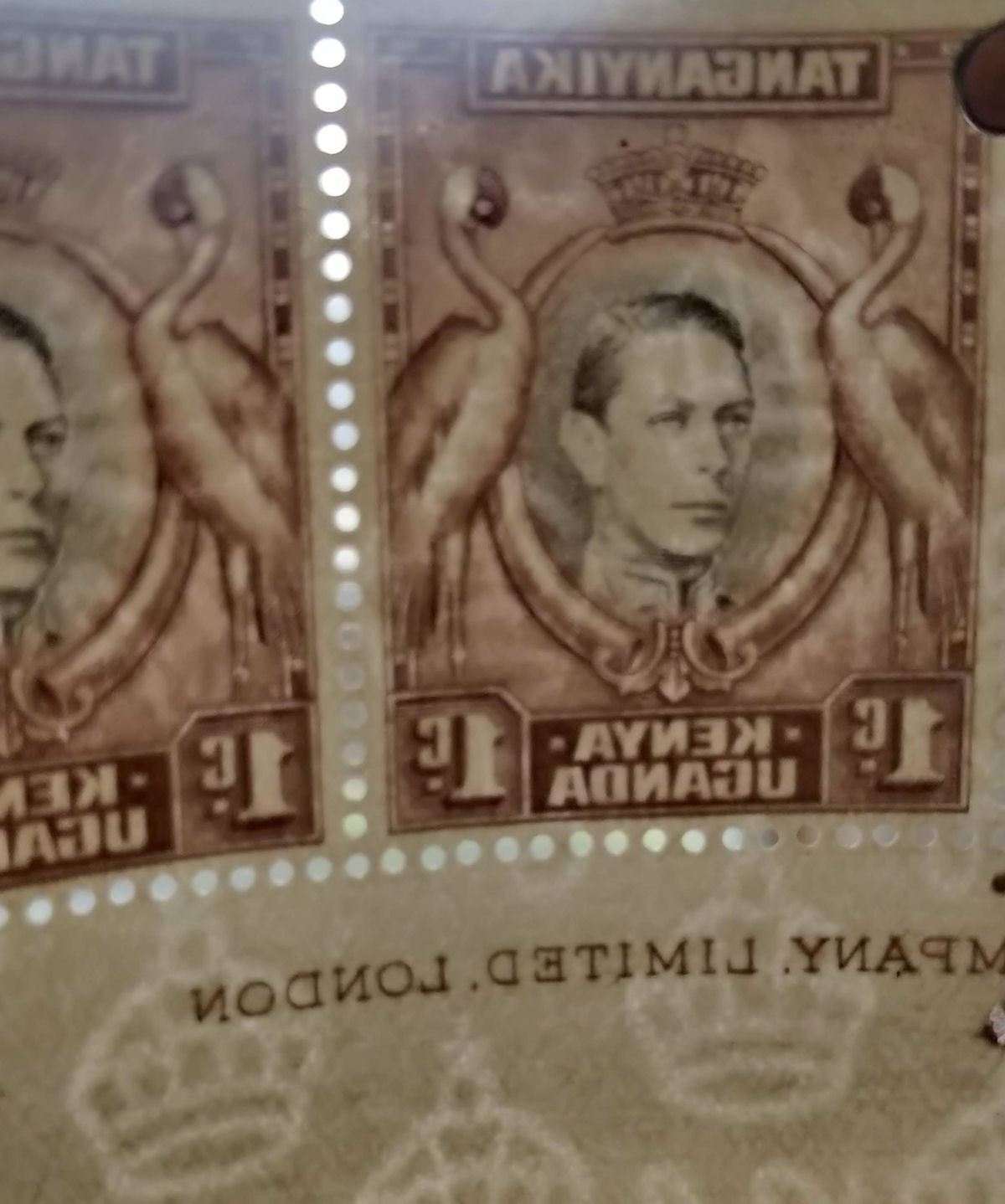 Kenya Uganda Tanganyika 1942 KGVI 1c Strip w A of CA Missing Mint SG131ab c£225