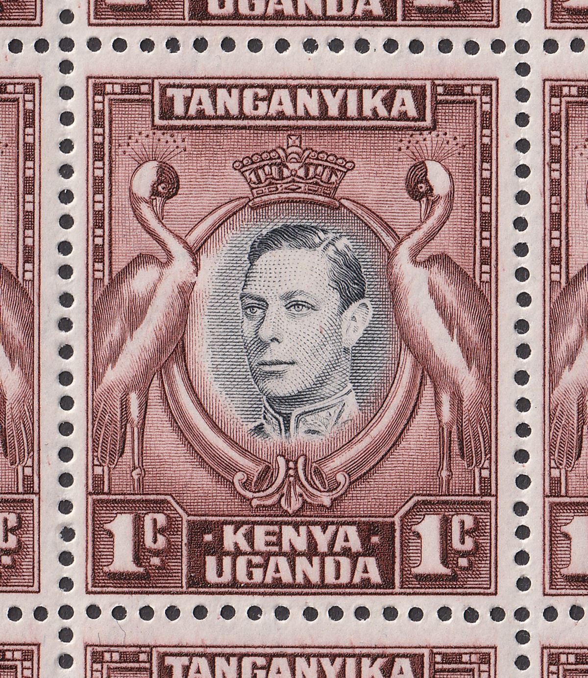 Kenya Uganda Tanganyika 1942 KGVI 1c Block w Bird's Breast Variety Mint SG131ae