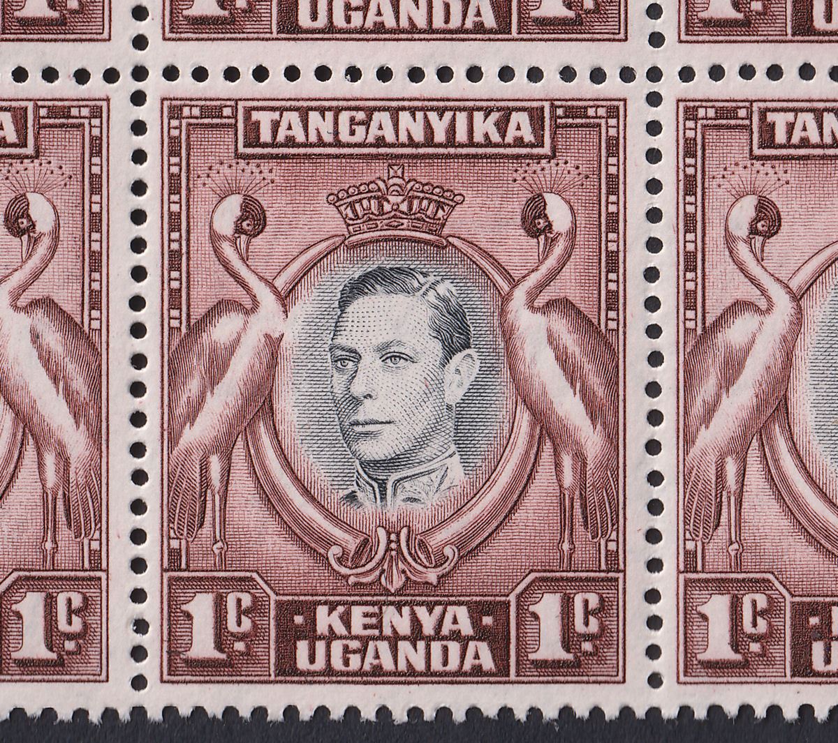 Kenya Uganda Tanganyika 1942 KGVI 1c Block w Bird's Breast Variety Mint SG131ae