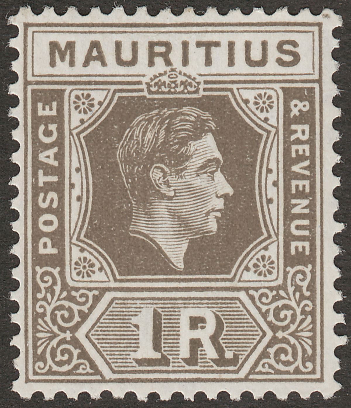 Mauritius 1949 KGVI 1r Drab Chalky Paper Mint SG260c