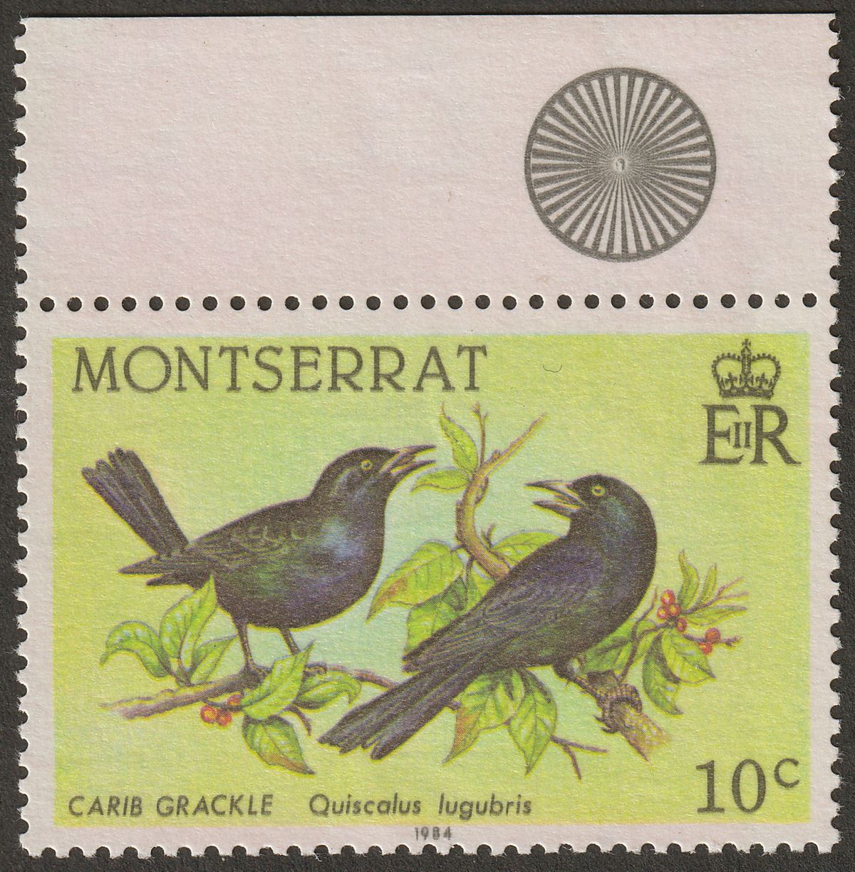 Montserrat 1984 Birds 10c Printed on the Gummed Side Mint SG601a