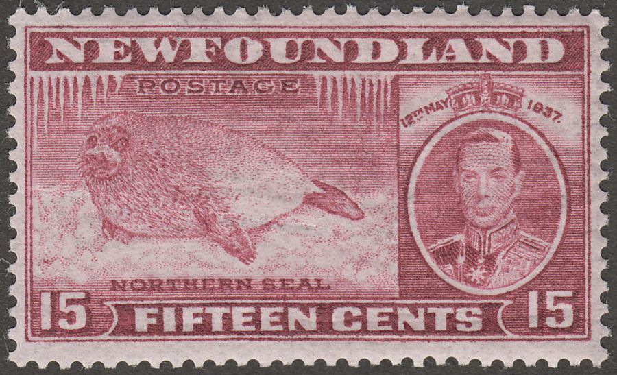 Newfoundland 1937 KGVI Coronation Harp Seal 15c Comb Perf 13 SG263d