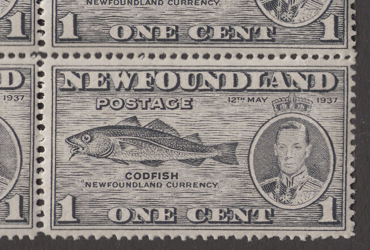Newfoundland 1937 KGVI Coron 1c Grey Block w Fish-Hook Flaw Variety Mint SG257b