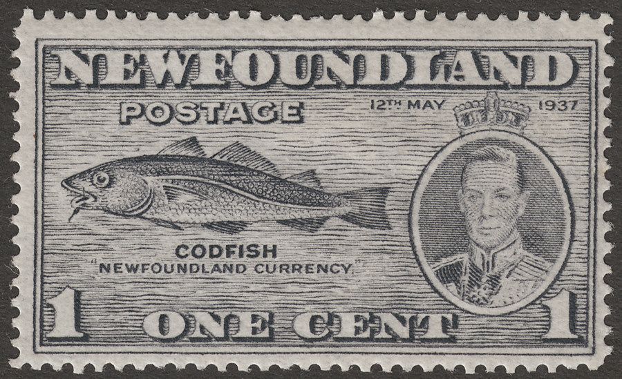 Newfoundland 1937 KGVI Coronation Cod 1c Line Perf 14 Variety Fish-Hook SG257b