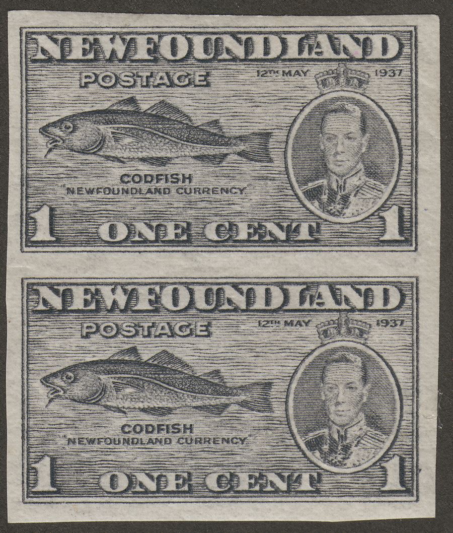 Newfoundland 1937 KGVI Coronation Cod 1c Variety Imperforate Pair Mint SG257 var