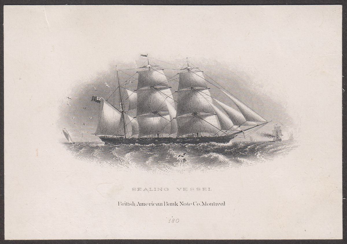 Newfoundland Sealing Vessel Vignette Similar SG54 British American Bank Note Co 