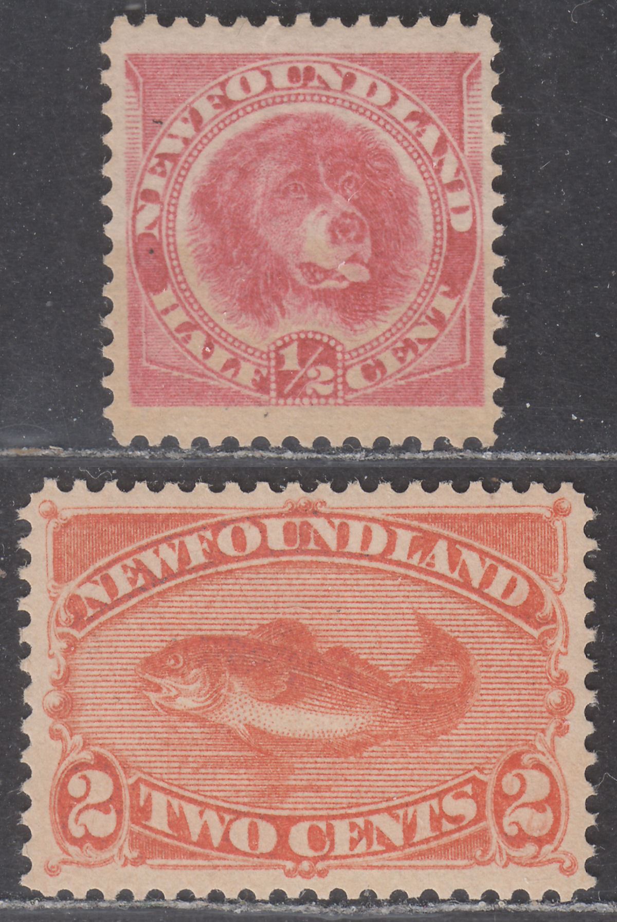 Newfoundland 1887 QV ½c Rose-Red, 2c Orange-Vermilion Mint SG49 SG51 cat £50