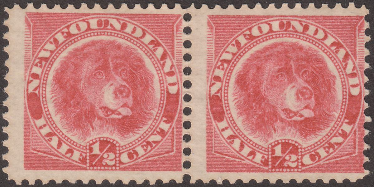 Newfoundland 1887 QV Dog ½c Rose-Red Pair Mint SG49