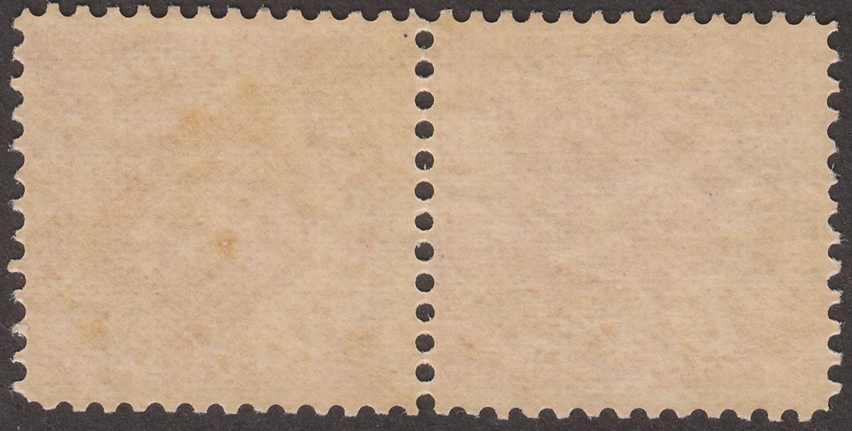 Newfoundland 1887 QV Dog ½c Rose-Red Pair Mint SG49