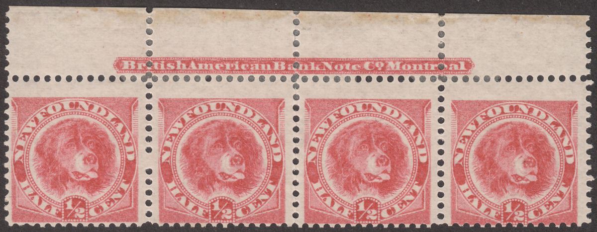 Newfoundland 1887 QV Dog ½c Rose-Red Imprint Strip of 4 Mint SG49