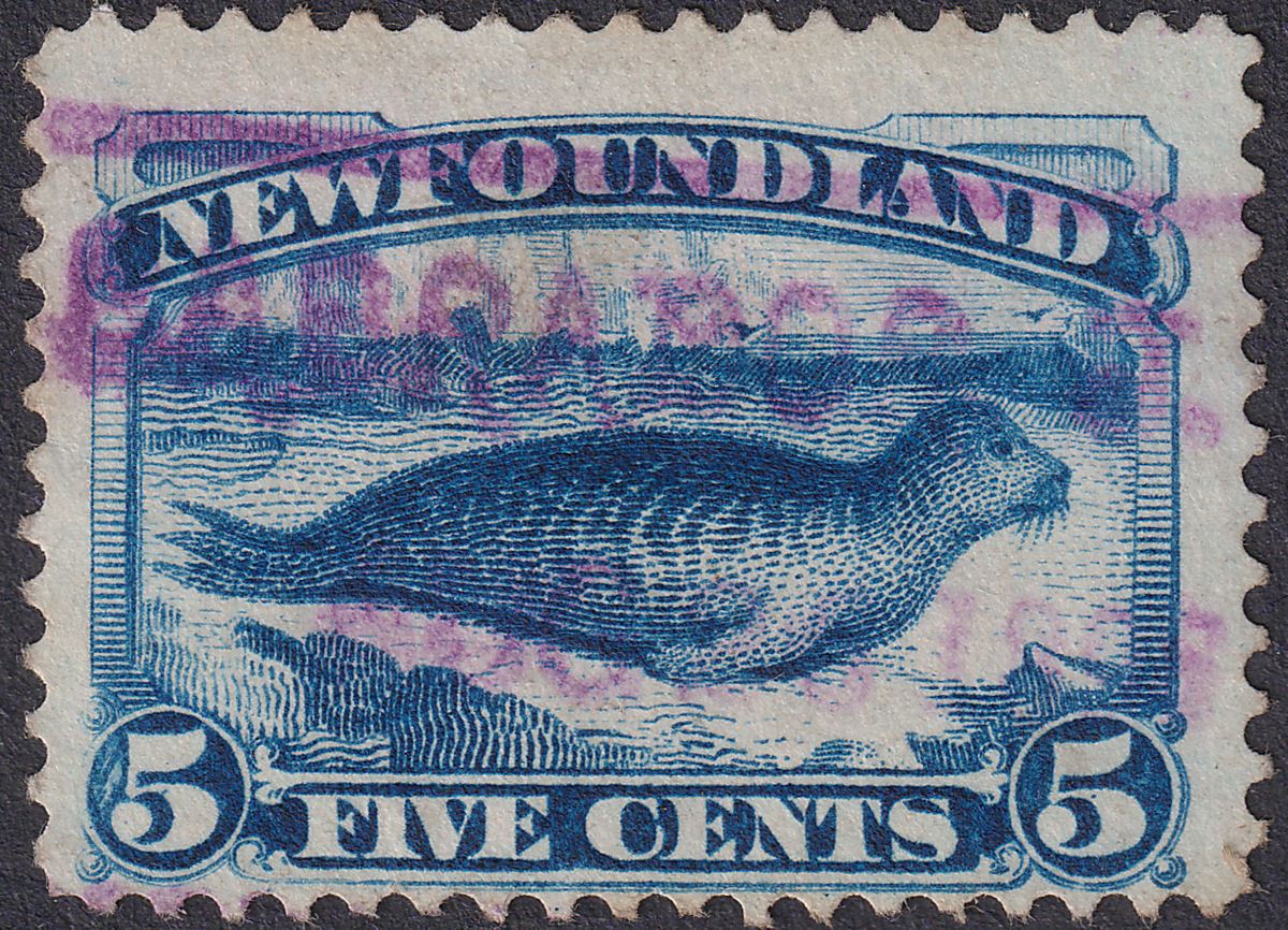Newfoundland 1898 QV Seal 5c Used with LABRADOR TPO Last Day Postmark