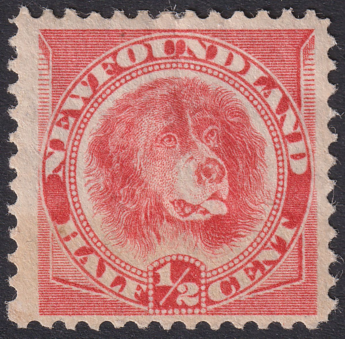 Newfoundland 1896 QV Dog ½c Orange-Vermilion Mint SG62 cat £65