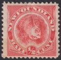 Click for more photos and details Newfoundland 1896 QV Dog ½c Orange-Vermilion Mint SG62 cat £65