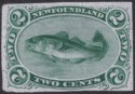 Click for more photos and details Newfoundland 1865 QV Cod 2c Green Plate Proof? Imperf Unused SG25P