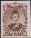 Click for more photos and details Newfoundland 1868 QV Prince Wales 1c Brown Colour Trial Imperf Thin Unused SG34P