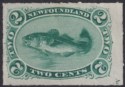 Click for more photos and details Newfoundland 1879 QV Cod 2c Bluish Green Roulette Unused SG41 c£170 as mint