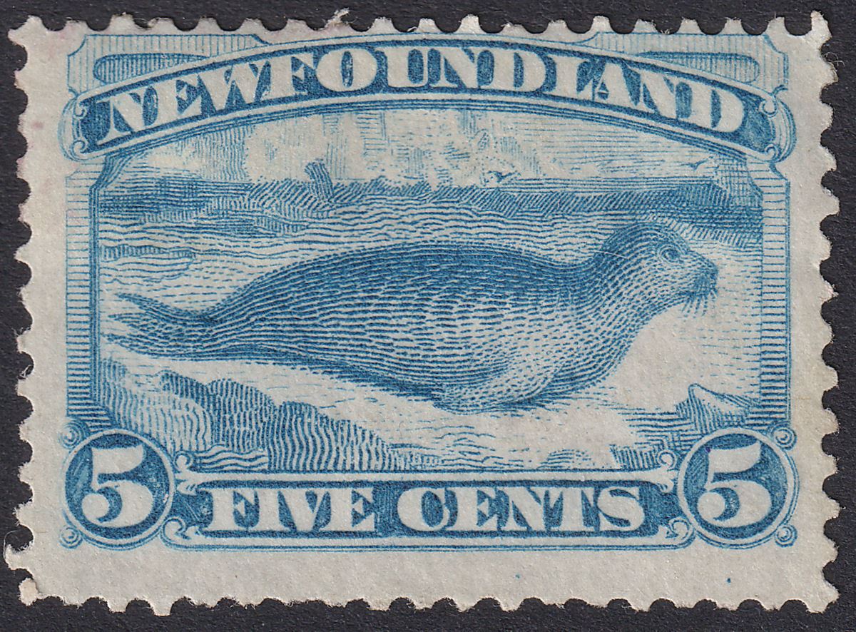 Newfoundland 1880 QV Seal 5c Pale Dull Blue Mint SG48 cat £350