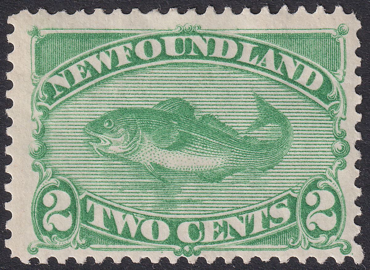 Newfoundland 1882 QV Atlantic Cod 2c Yellow-Green Mint SG46 cat £85