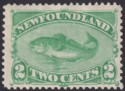 Click for more photos and details Newfoundland 1882 QV Atlantic Cod 2c Yellow-Green Mint SG46 cat £85