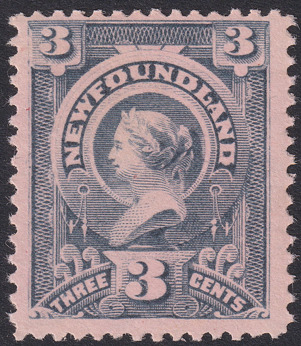 Newfoundland 1890 QV 3c Slate-Grey on Pink Paper from Water Damage Mint SG56var