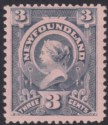 Click for more photos and details Newfoundland 1890 QV 3c Slate-Grey on Pink Paper from Water Damage Mint SG56var