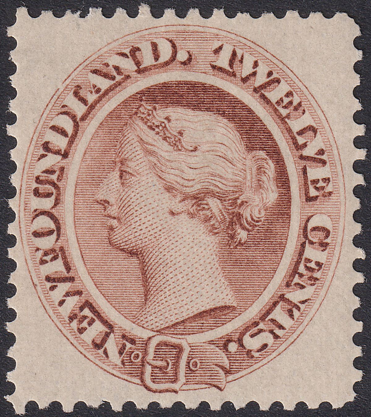 Newfoundland 1894 QV 12c Deep Brown Mint SG61 cat £90