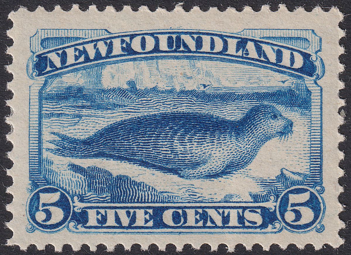 Newfoundland 1894 QV Seal 5c Bright Blue Mint SG59a cat £80