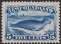 Click for more photos and details Newfoundland 1894 QV Seal 5c Bright Blue Mint SG59a cat £80