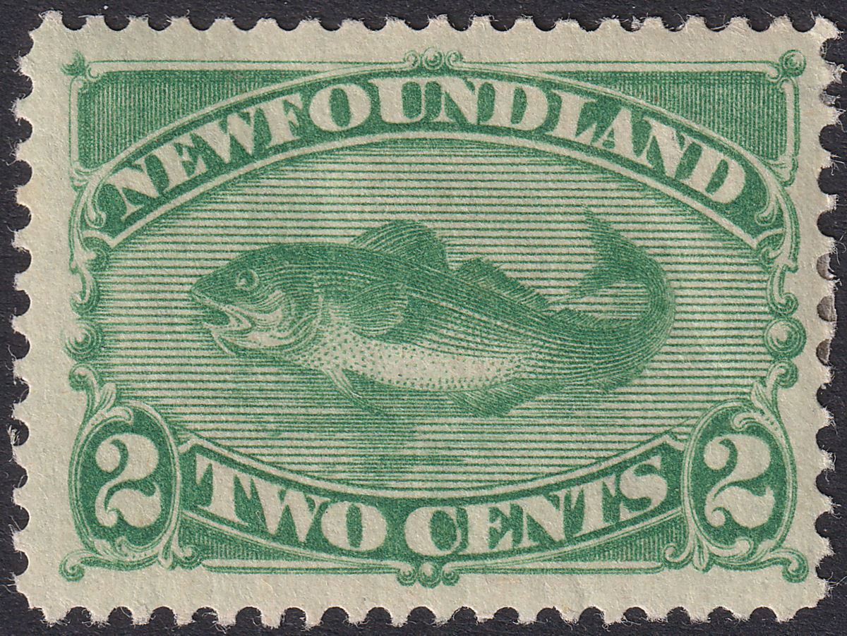 Newfoundland 1896 QV Cod 2c Green Mint SG64 cat £120