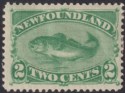 Click for more photos and details Newfoundland 1896 QV Cod 2c Green Mint SG64 cat £120