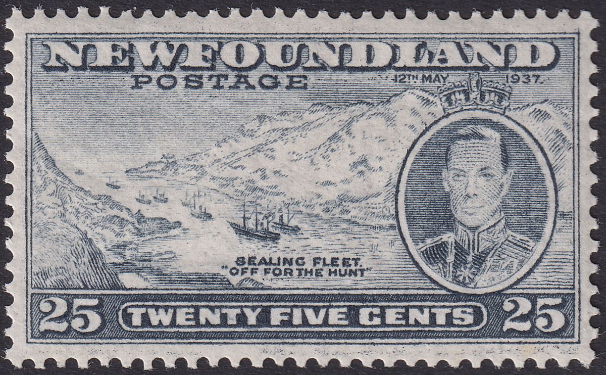 Newfoundland 1937 KGVI Coronation 25c Slate Comb Perf 13 Mint SG266c cat £50