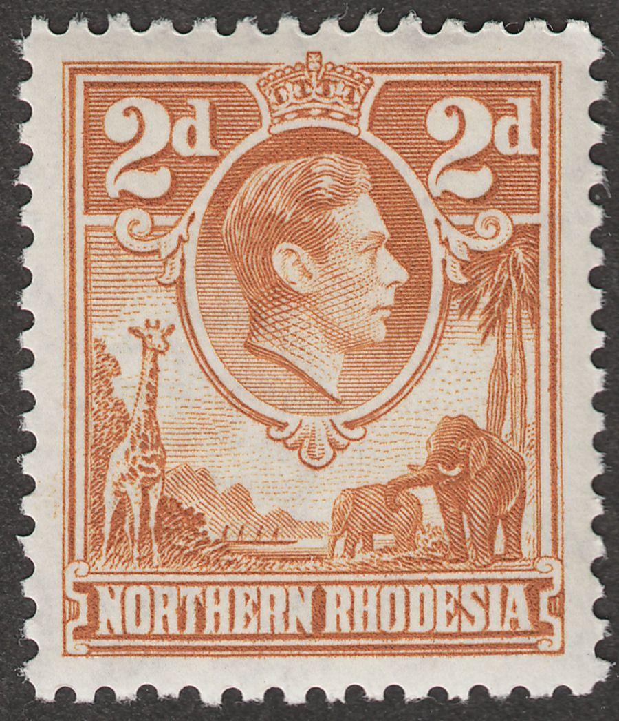 Northern Rhodesia 1938 KGVI 2d Yellow-Brown Mint SG31