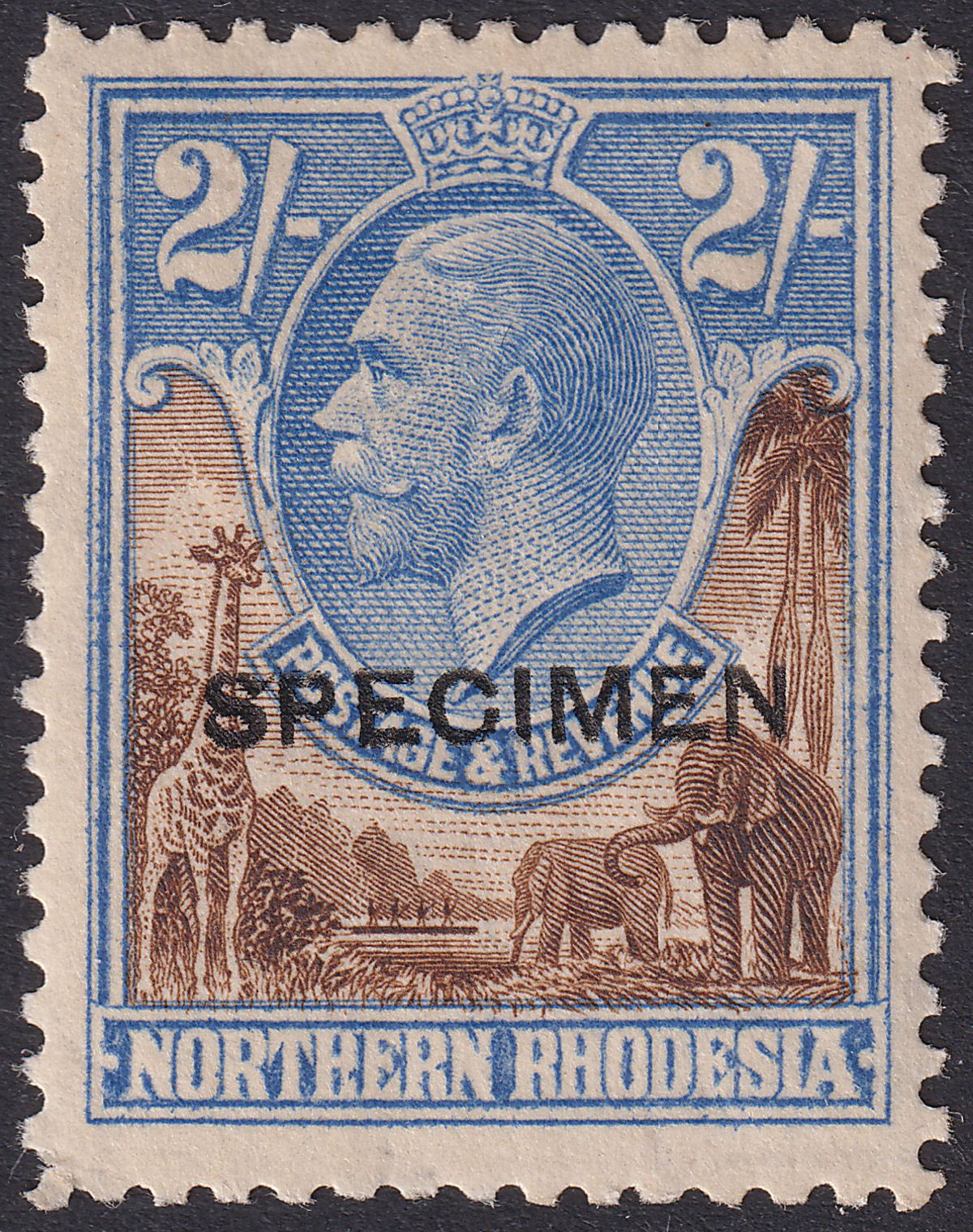 Northern Rhodesia 1929 KGV SPECIMEN 3sh Violet and Blue Mint SG13s THIN