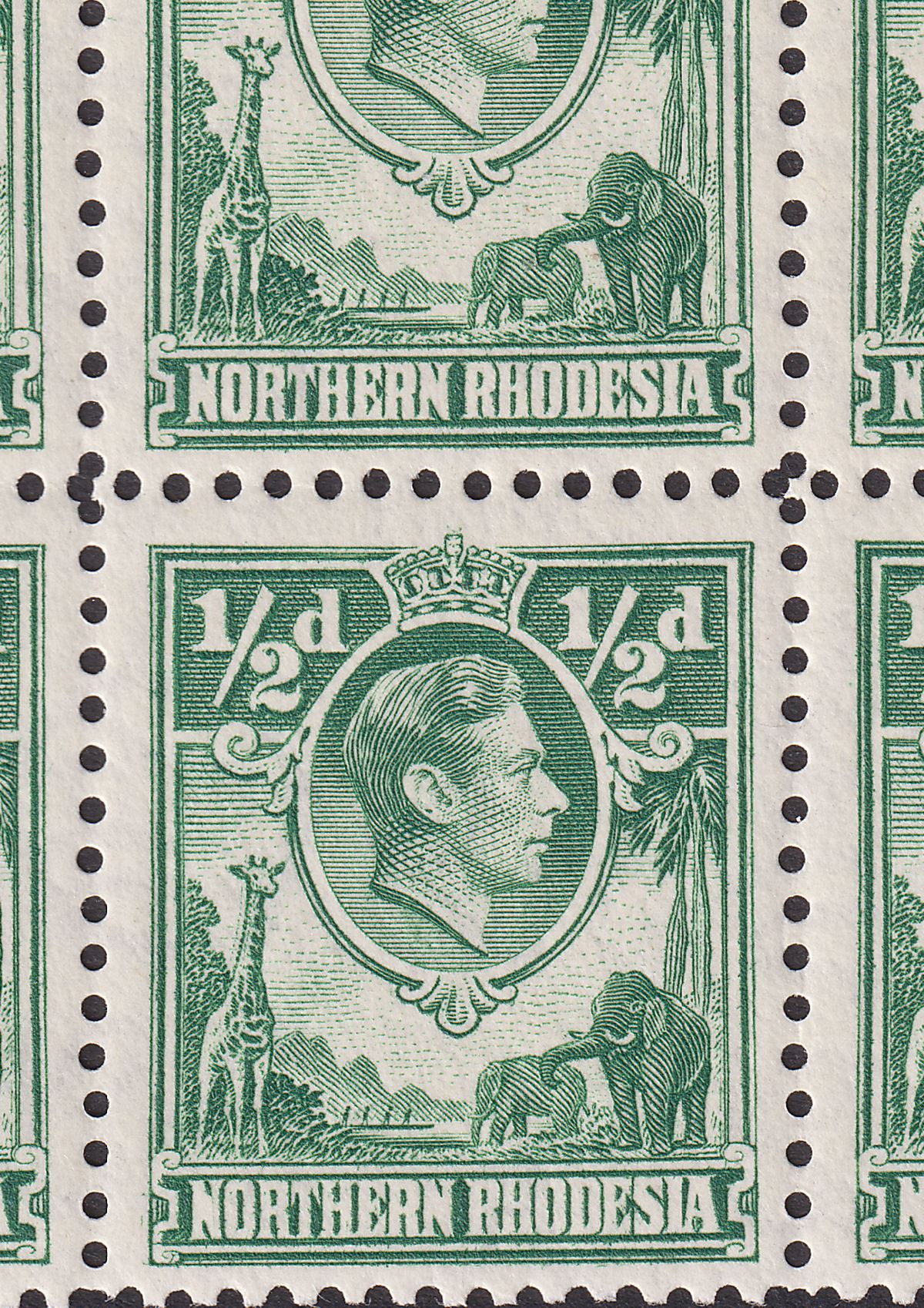 Northern Rhodesia 1938 KGVI ½d Green Block w Giraffe Retouch Mint SG25b cat £85+
