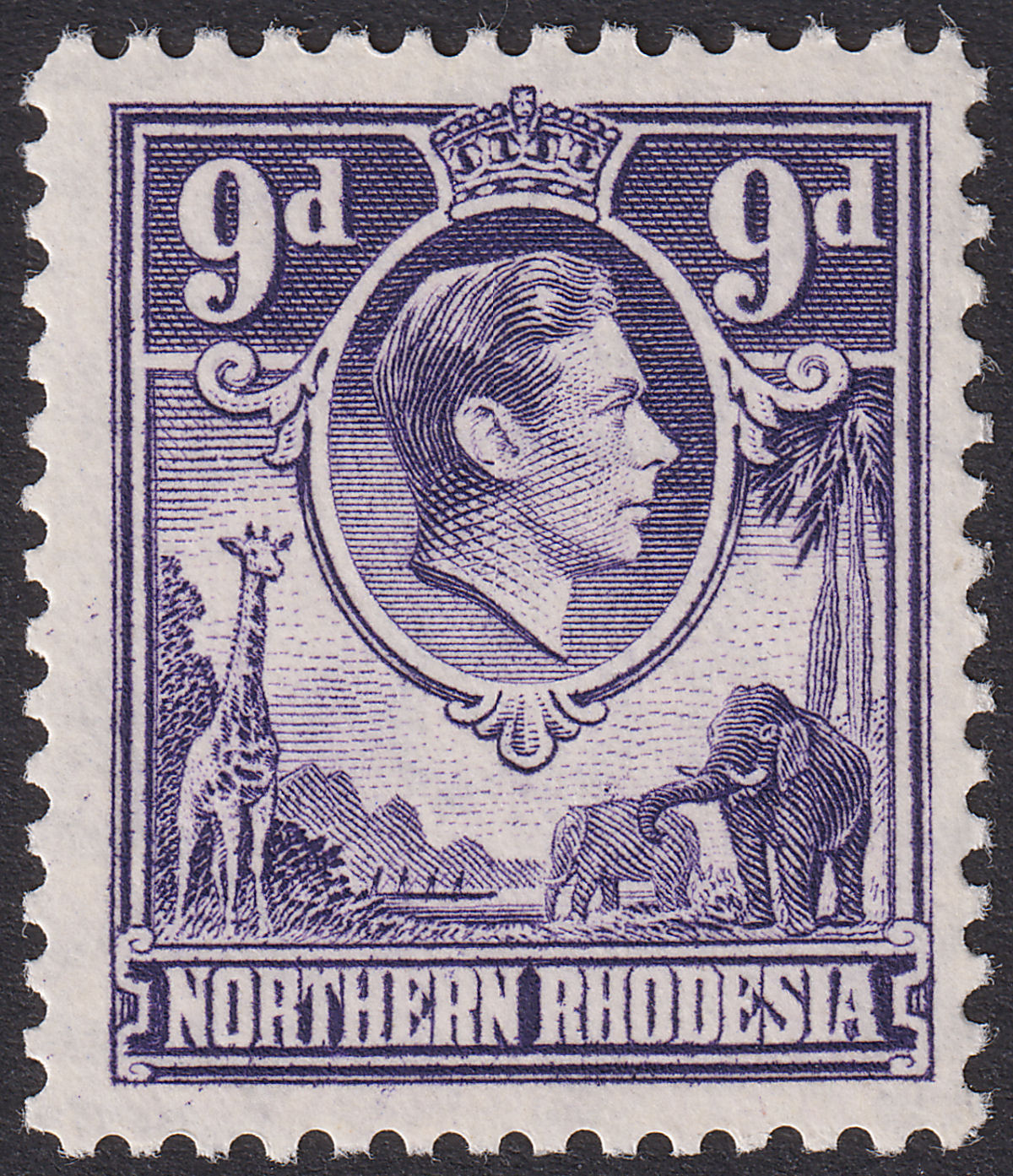 Northern Rhodesia 1952 KGVI 9d Violet with Elephant Spot Variety Mint SG39var
