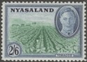 Nyasaland 1945 KGVI 2sh6d Emerald and Blue Mint SG154