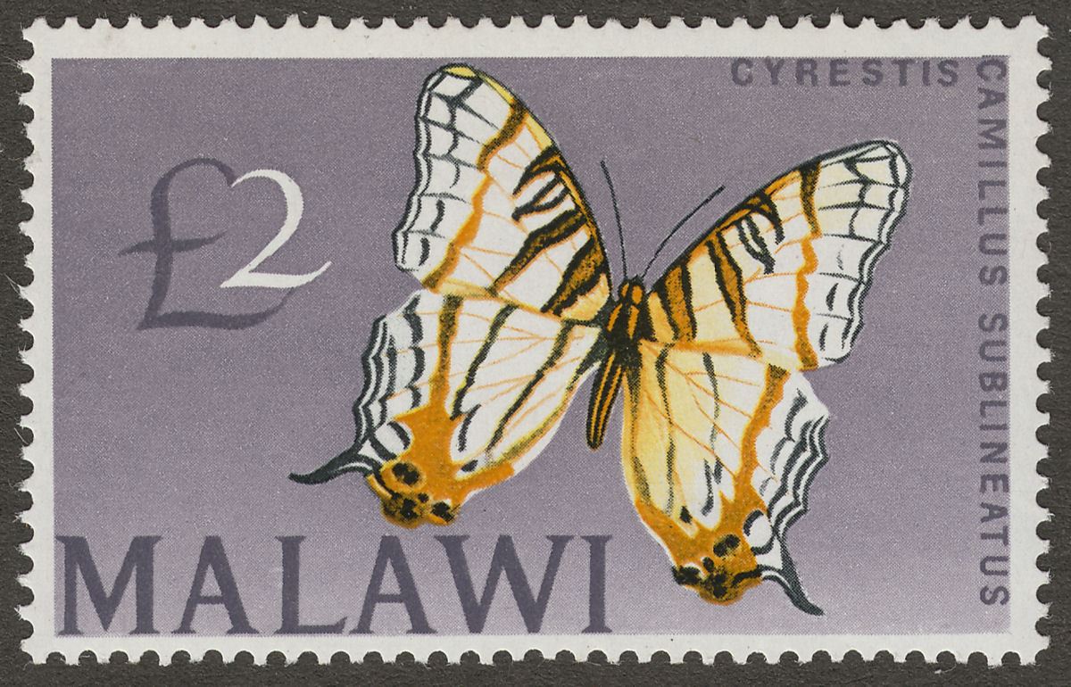 Malawi 1966 Butterfly £2 UM Mint SG262 cat £27 MNH