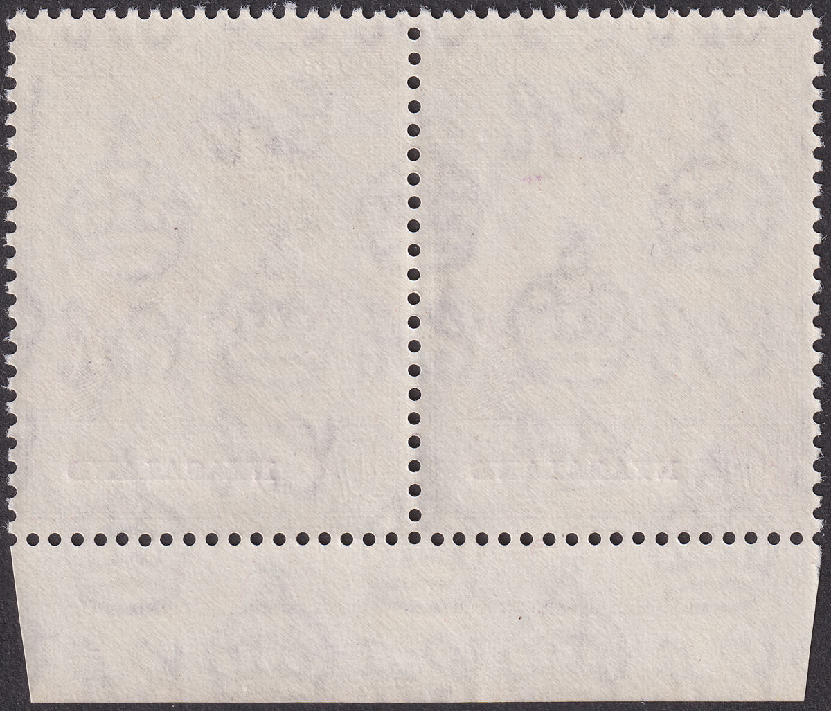 Nyasaland 1948 KGVI Royal Silver Wedding RSW 10sh Imprint Pair Mint SG162 cat£36