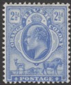 Orange River Colony 1903 KEVII 2½d Bright Blue Mint SG142
