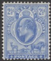 Click for more photos and details Orange River Colony 1903 KEVII 2½d Bright Blue Mint SG142